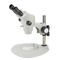 High Eye Point Trinocular Stereo Microscope , Stereo Dissecting Microscope Wide Field Eyepiece supplier