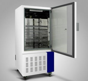 Constant Temperature Humidity Incubator for Pharmaceutical and Chemical Industry supplier